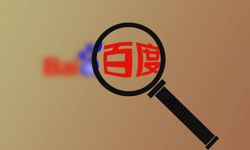 外推蜘蛛池灰色词排名代发